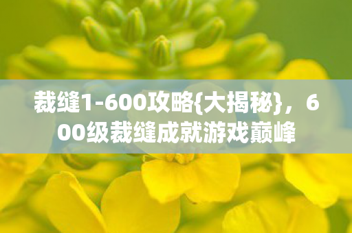 裁缝1-600攻略{大揭秘},600级裁缝成就游戏巅峰 裁缝1-600攻略{大揭秘},600级裁缝成就游戏巅峰
