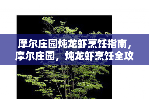 摩尔庄园炖龙虾烹饪指南,摩尔庄园,炖龙虾烹饪全攻略 摩尔庄园炖龙虾烹饪指南,摩尔庄园,炖龙虾烹饪全攻略