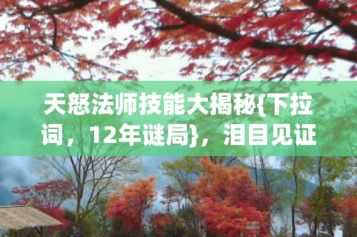 天怒法师技能大揭秘{下拉词,12年谜局},泪目见证奇迹 天怒法师技能大揭秘{下拉词,12年谜局},泪目见证奇迹