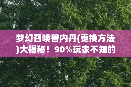 梦幻召唤兽内丹{更换方法}大揭秘!90%玩家不知的秘密 梦幻召唤兽内丹{更换方法}大揭秘!90%玩家不知的秘密