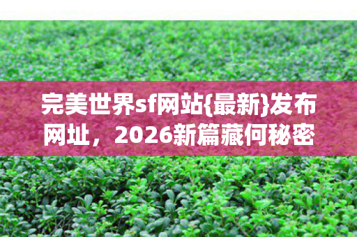 2026新篇藏何秘密图片
