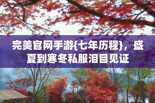 盛夏到寒冬私服泪目见证图片