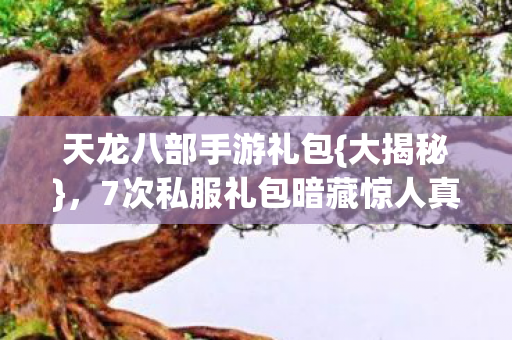 7次私服礼包暗藏惊人真相图片