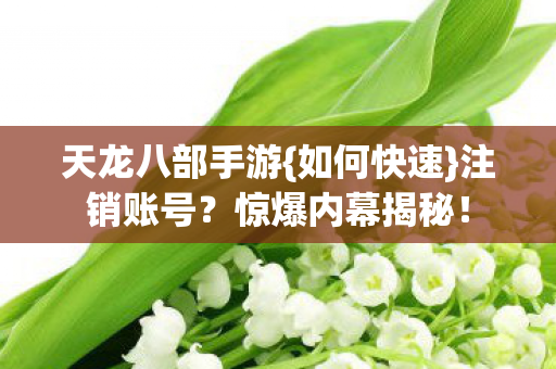 天龙八部手游图片