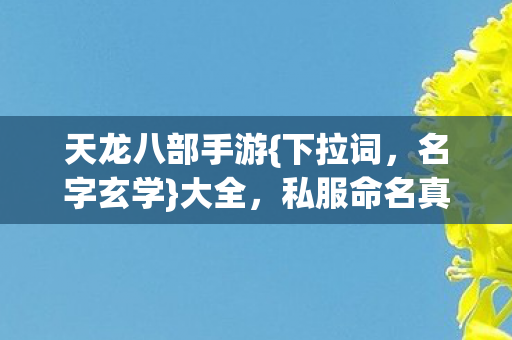 私服命名真相揭秘图片