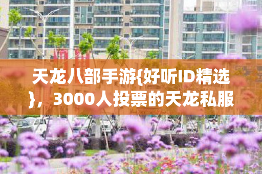 3000人投票的天龙私服ID美学图片
