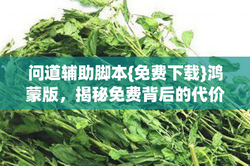 问道辅助脚本{免费下载}鸿蒙版,揭秘免费背后的代价 问道辅助脚本{免费下载}鸿蒙版,揭秘免费背后的代价
