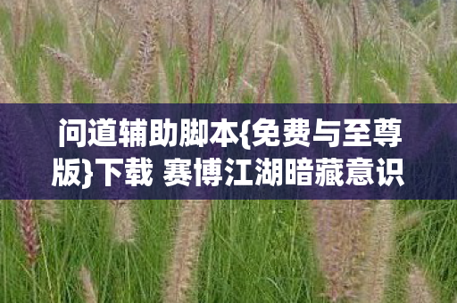 问道辅助脚本{免费与至尊版}下载 赛博江湖暗藏意识寄生 问道辅助脚本{免费与至尊版}下载 赛博江湖暗藏意识寄生