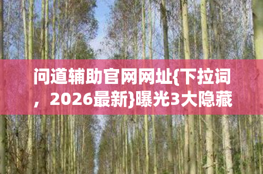 问道辅助官网网址{下拉词，2026最新}曝光3大隐藏功能！