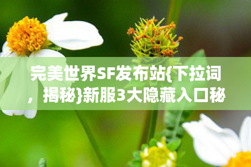新服3大隐藏入口秘境图片
