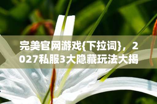 2027私服3大隐藏玩法大揭秘图片