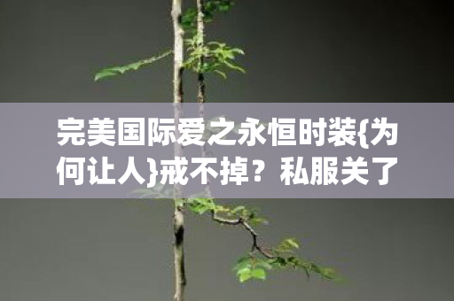 完美国际爱之永恒时装图片