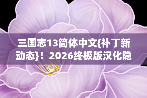 三国志13简体中文{补丁新动态}！2026终极版汉化隐藏剧情
