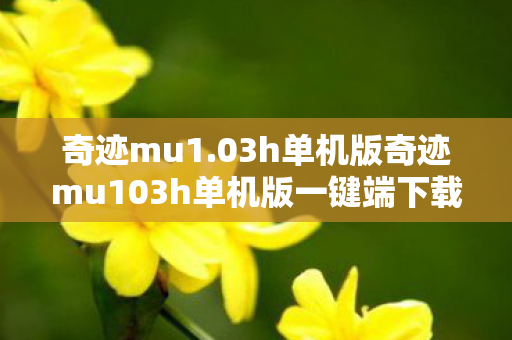 03h单机版奇迹mu103h单机版一键端下载图片