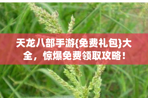 惊爆免费领取攻略图片