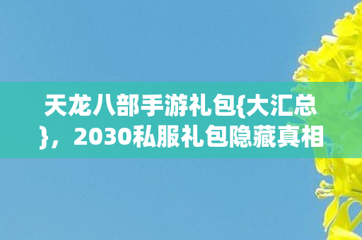 2030私服礼包隐藏真相揭秘图片