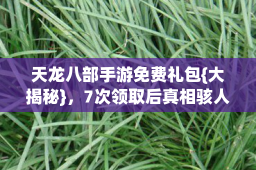 天龙八部手游免费礼包图片