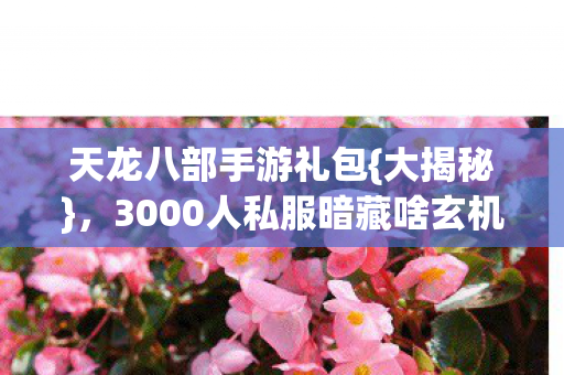 3000人私服暗藏啥玄机图片