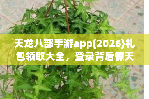 天龙八部手游app图片