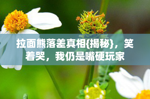 拉面熊落差真相{揭秘},笑着哭,我仍是嘴硬玩家 拉面熊落差真相{揭秘},笑着哭,我仍是嘴硬玩家