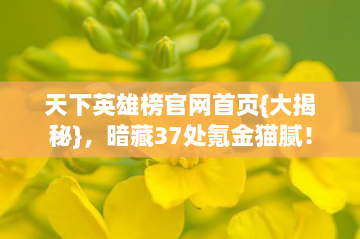 天下英雄榜官网首页{大揭秘},暗藏37处氪金猫腻! 天下英雄榜官网首页{大揭秘},暗藏37处氪金猫腻!