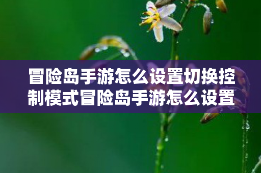 冒险岛手游怎么设置切换控制模式冒险岛手游怎么设置切换控制，冒险岛手游，如何设置切换控制模式