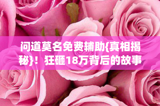 问道莫名免费辅助{真相揭秘}!狂砸18万背后的故事 问道莫名免费辅助{真相揭秘}!狂砸18万背后的故事