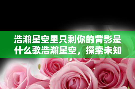浩瀚星空里只剩你的背影是什么歌浩瀚星空图片