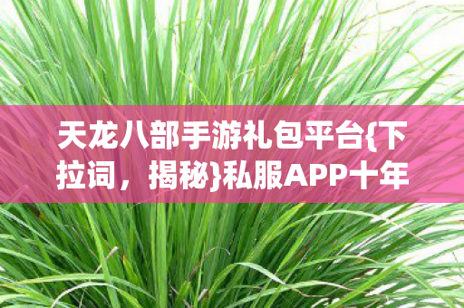 私服APP十年骗局真相图片