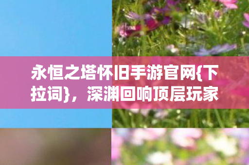 永恒之塔怀旧手游官网{下拉词}，深渊回响顶层玩家数据废墟审判