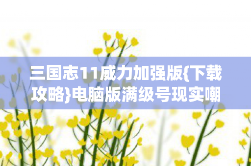 三国志11威力加强版{下载攻略}电脑版满级号现实嘲讽