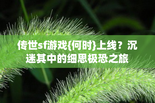 传世sf游戏{何时}上线？沉迷其中的细思极恐之旅