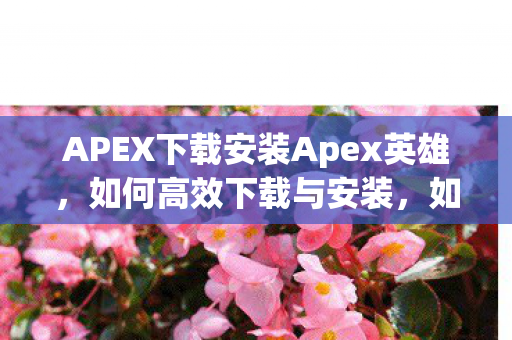 如何高效下载与安装Apex英雄图片