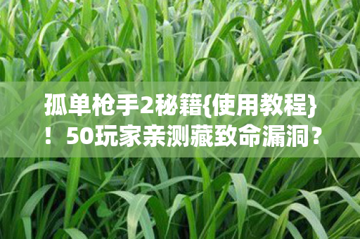 孤单枪手2秘籍{使用教程}!50玩家亲测藏致命漏洞? 孤单枪手2秘籍{使用教程}!50玩家亲测藏致命漏洞?