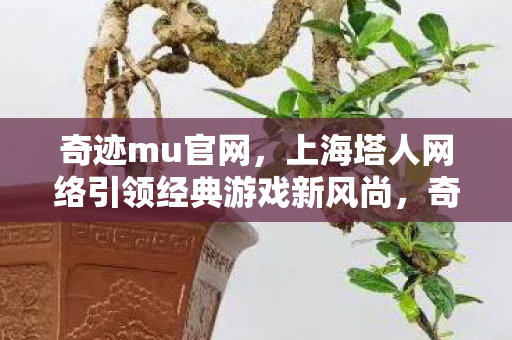 上海塔人网络引领经典游戏新风尚图片
