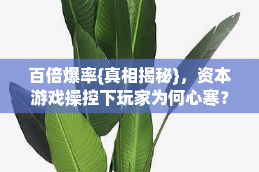 百倍爆率{真相揭秘}，资本游戏操控下玩家为何心寒？