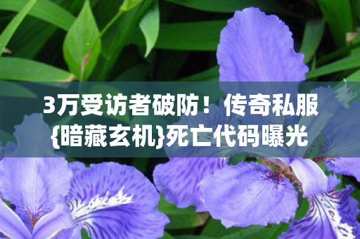 3万受访者破防!传奇私服{暗藏玄机}死亡代码曝光 3万受访者破防!传奇私服{暗藏玄机}死亡代码曝光