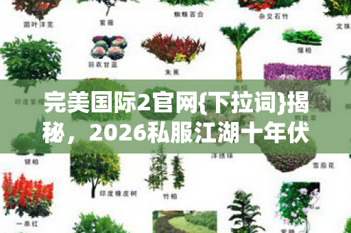 2026私服江湖十年伏笔情图片