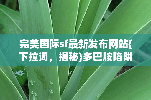 完美国际sf最新发布网站图片