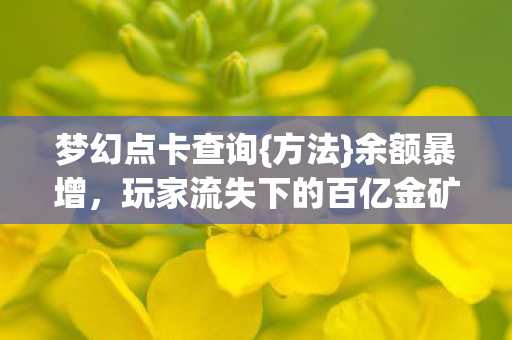 梦幻点卡查询{方法}余额暴增,玩家流失下的百亿金矿 梦幻点卡查询{方法}余额暴增,玩家流失下的百亿金矿