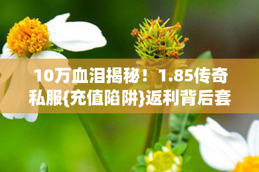 10万血泪揭秘!1.85传奇私服{充值陷阱}返利背后套路 10万血泪揭秘!1.85传奇私服{充值陷阱}返利背后套路