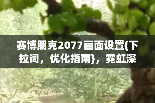 赛博朋克2077画面设置{下拉词,优化指南},霓虹深渊照见存在虚妄 赛博朋克2077画面设置{下拉词,优化指南},霓虹深渊照见存在虚妄