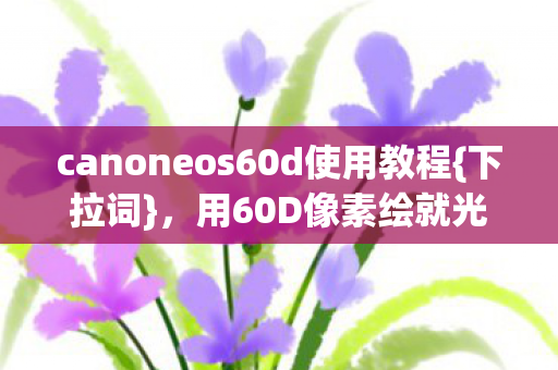 canoneos60d使用教程{下拉词}，用60D像素绘就光影泪目史诗