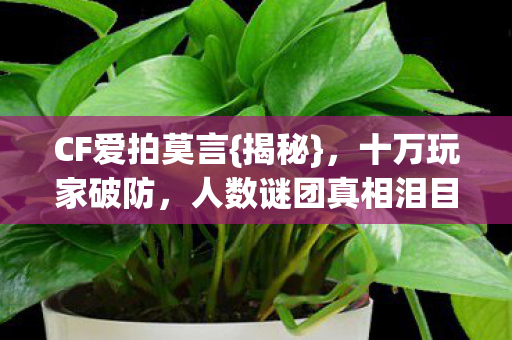 CF爱拍莫言{揭秘},十万玩家破防,人数谜团真相泪目 CF爱拍莫言{揭秘},十万玩家破防,人数谜团真相泪目