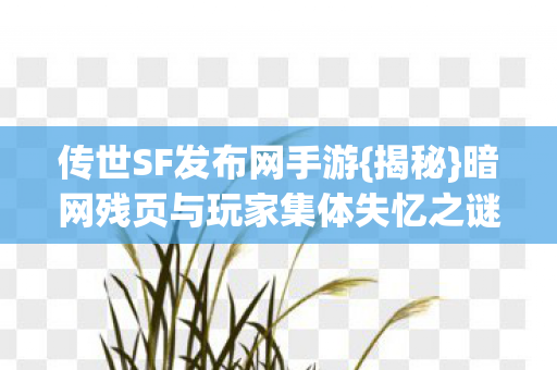暗网残页与玩家集体失忆之谜图片