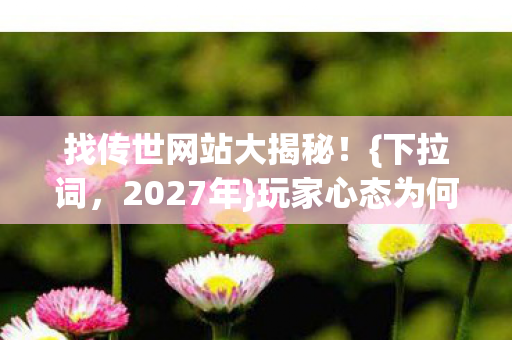 找传世网站大揭秘图片