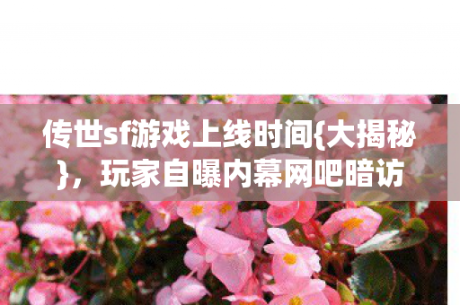传世sf游戏上线时间图片