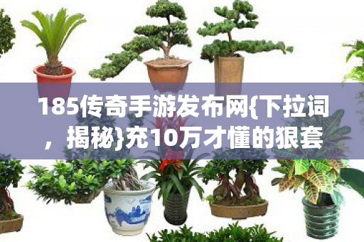 185传奇手游发布网{下拉词,揭秘}充10万才懂的狠套路 185传奇手游发布网{下拉词,揭秘}充10万才懂的狠套路