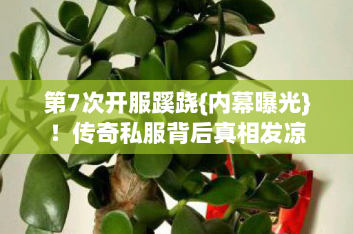 第7次开服蹊跷{内幕曝光}!传奇私服背后真相发凉 第7次开服蹊跷{内幕曝光}!传奇私服背后真相发凉