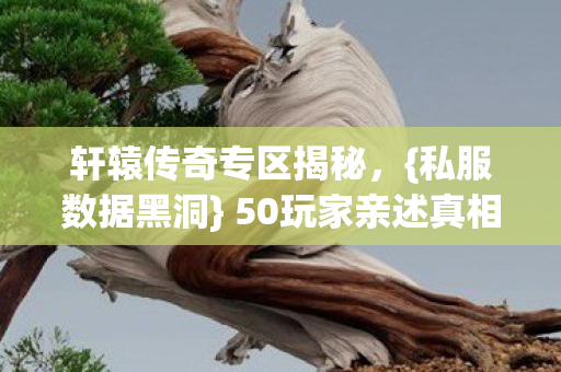 轩辕传奇专区揭秘,{私服数据黑洞} 50玩家亲述真相! 轩辕传奇专区揭秘,{私服数据黑洞} 50玩家亲述真相!